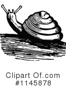 Snail Clipart #1145878 by Prawny Vintage