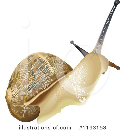 Royalty-Free (RF) Snail Clipart Illustration by dero - Stock Sample #1193153