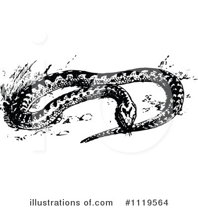 Snake Clipart #1119564 by Prawny Vintage