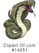 Snake Clipart #14251 by AtStockIllustration