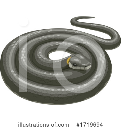 Snake Clipart #1719694 by Vector Tradition SM