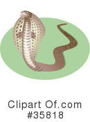 Snake Clipart #35818 by Prawny