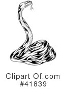 Snake Clipart #41839 by dero