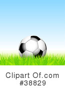 Soccer Balls Clipart #38829 by elaineitalia
