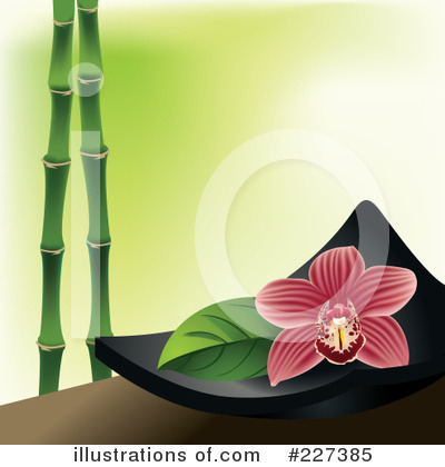 Orchid Clipart #227385 by Eugene