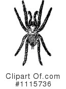 Spider Clipart #1115736 by Prawny Vintage