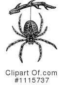 Spider Clipart #1115737 by Prawny Vintage