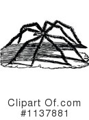 Spider Clipart #1137881 by Prawny Vintage
