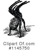 Spider Clipart #1145750 by Prawny Vintage
