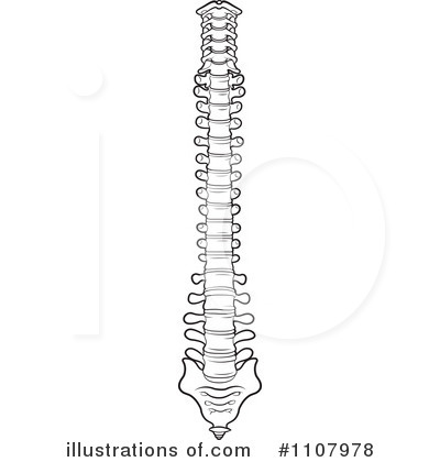 Spine Clipart #1107978 by Lal Perera