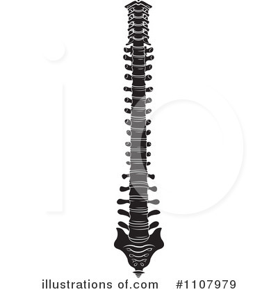 Human Spine Vector Free Download