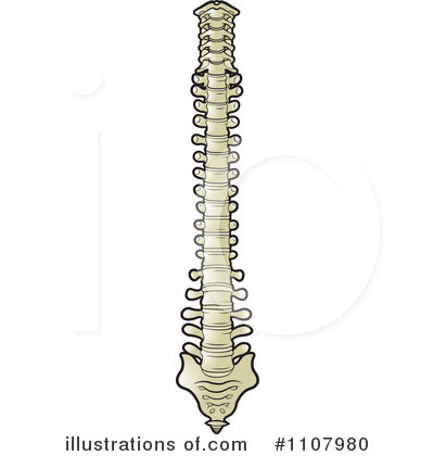 Spine Clipart #1107980 by Lal Perera