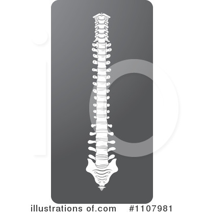 Spine Clipart #1107981 by Lal Perera