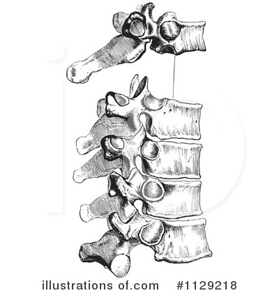 Royalty-Free (RF) Spine Clipart Illustration by Picsburg - Stock Sample #1129218