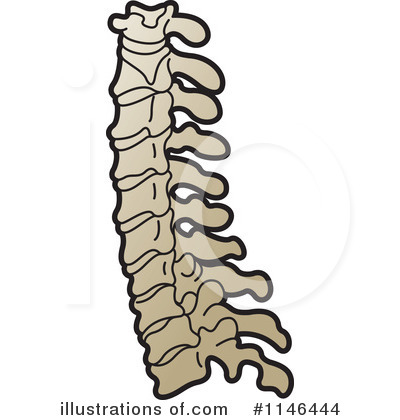 Spine Clipart #1146444 by Lal Perera