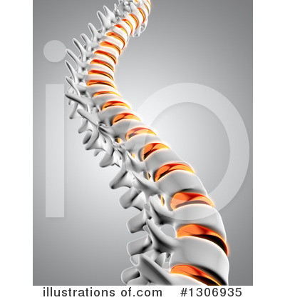 Spine Clipart #1306935 by KJ Pargeter