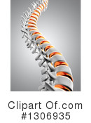 Spine Clipart #1306935 by KJ Pargeter