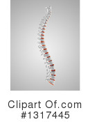 Spine Clipart #1317445 by KJ Pargeter