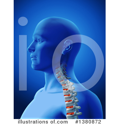 Spine Clipart #1380872 by KJ Pargeter