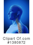 Spine Clipart #1380872 by KJ Pargeter