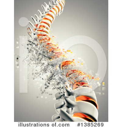 Spine Clipart #1385269 by KJ Pargeter