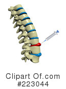 Spine Clipart #223044 by Michael Schmeling