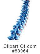 Spine Clipart #83964 by Mopic