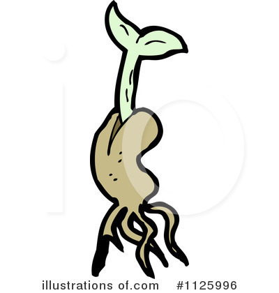 Seeds Clipart #1125996 by lineartestpilot