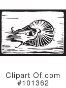 Squid Clipart #101362 by xunantunich