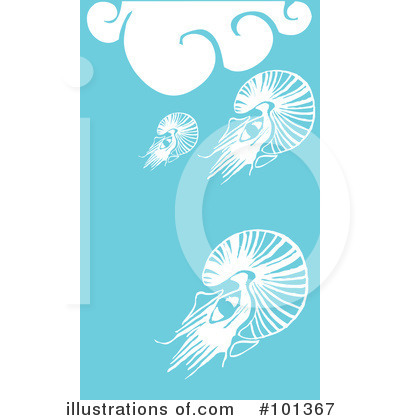 Nautilus Clipart #101367 by xunantunich