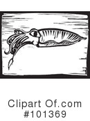 Squid Clipart #101369 by xunantunich