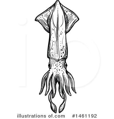 Royalty-Free (RF) Squid Clipart Illustration by Vector Tradition SM - Stock Sample #1461192