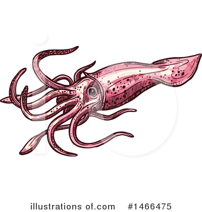 Royalty-Free (RF) Squid Clipart Illustration by Vector Tradition SM - Stock Sample #1466475