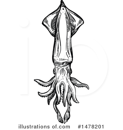 Royalty-Free (RF) Squid Clipart Illustration by Vector Tradition SM - Stock Sample #1478201