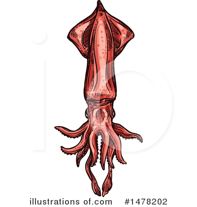 Royalty-Free (RF) Squid Clipart Illustration by Vector Tradition SM - Stock Sample #1478202