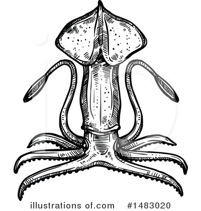 Royalty-Free (RF) Squid Clipart Illustration by Vector Tradition SM - Stock Sample #1483020
