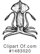 Squid Clipart #1483020 by Vector Tradition SM