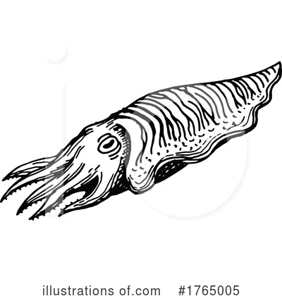 Royalty-Free (RF) Squid Clipart Illustration by Vector Tradition SM - Stock Sample #1765005