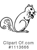 Squirrel Clipart #1113666 by Prawny Vintage