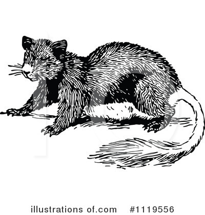 Rodent Clipart #1119556 by Prawny Vintage