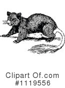 Squirrel Clipart #1119556 by Prawny Vintage
