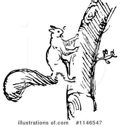 Royalty-Free (RF) Squirrel Clipart Illustration by Prawny Vintage - Stock Sample #1146547