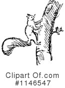 Squirrel Clipart #1146547 by Prawny Vintage