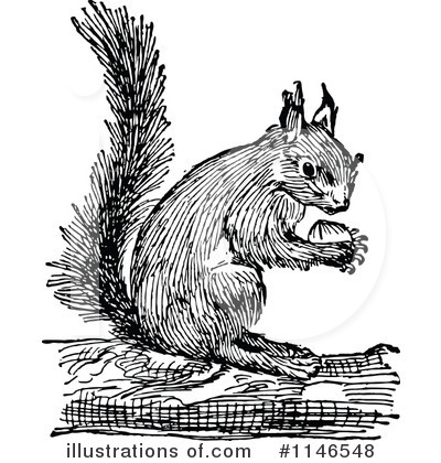 Royalty-Free (RF) Squirrel Clipart Illustration by Prawny Vintage - Stock Sample #1146548