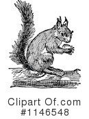 Squirrel Clipart #1146548 by Prawny Vintage