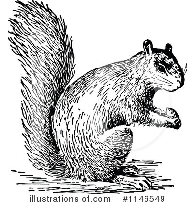 Royalty-Free (RF) Squirrel Clipart Illustration by Prawny Vintage - Stock Sample #1146549