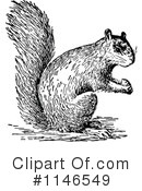Squirrel Clipart #1146549 by Prawny Vintage