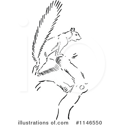Royalty-Free (RF) Squirrel Clipart Illustration by Prawny Vintage - Stock Sample #1146550