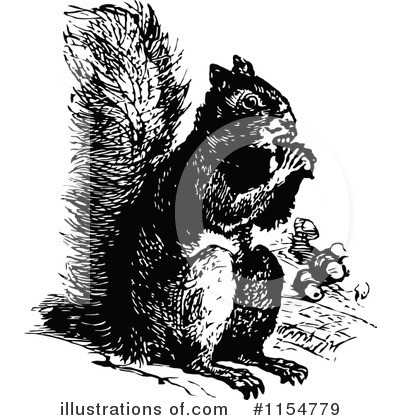 Royalty-Free (RF) Squirrel Clipart Illustration by Prawny Vintage - Stock Sample #1154779