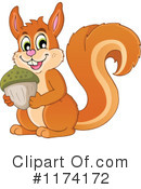 Squirrel Clipart #1174172 by visekart